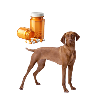 Produse farmaceutice pentru caini